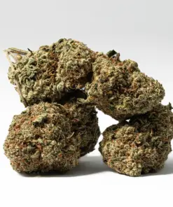 Alternative view of Blue Dream (AA)