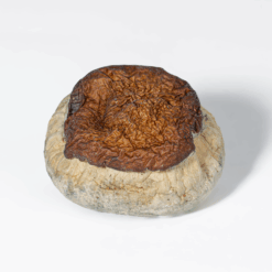 Alternative view of Bluey Vuitton Mushrooms