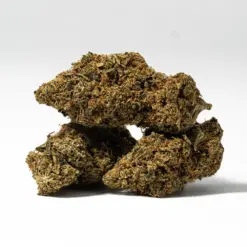 Alternative view of Bubblegum (AA)