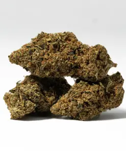 Alternative view of Bubblegum (AA)