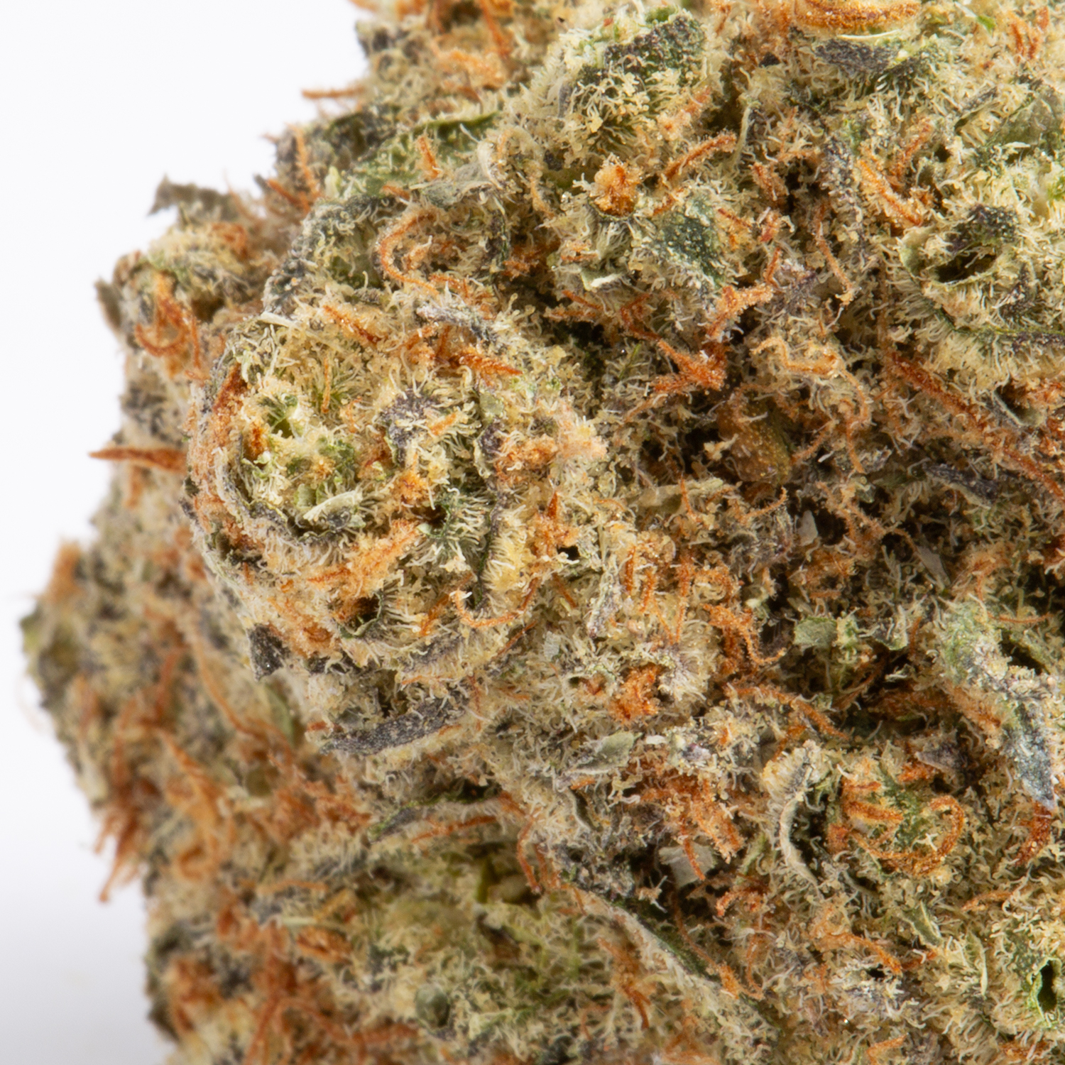 Blackberry Bliss (AA) - Image 2