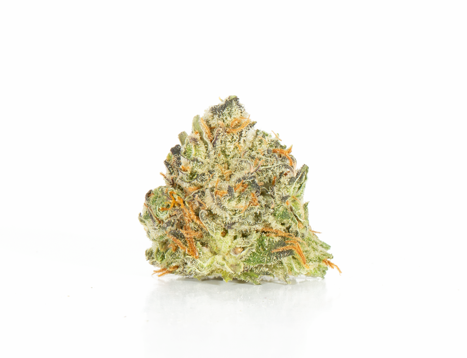 Blackberry x Blueberry (AA+) - Image 3