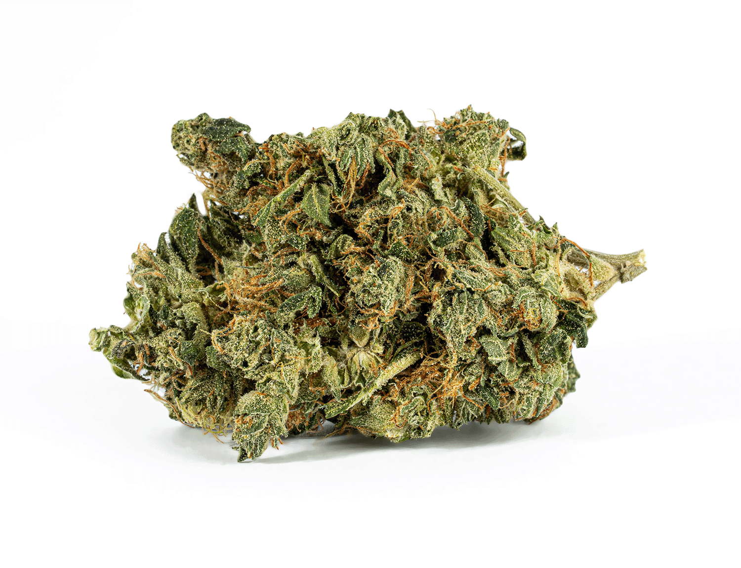 Cali Bubba (AA) - Image 3