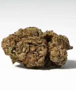 Alternative view of Cali OG (AA)