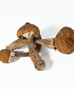 Super Thai Mushrooms