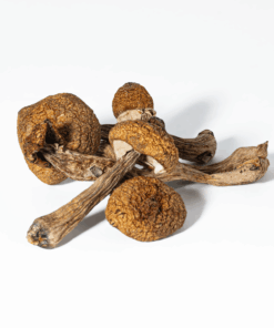 Alternative view of Super Thai Mushrooms