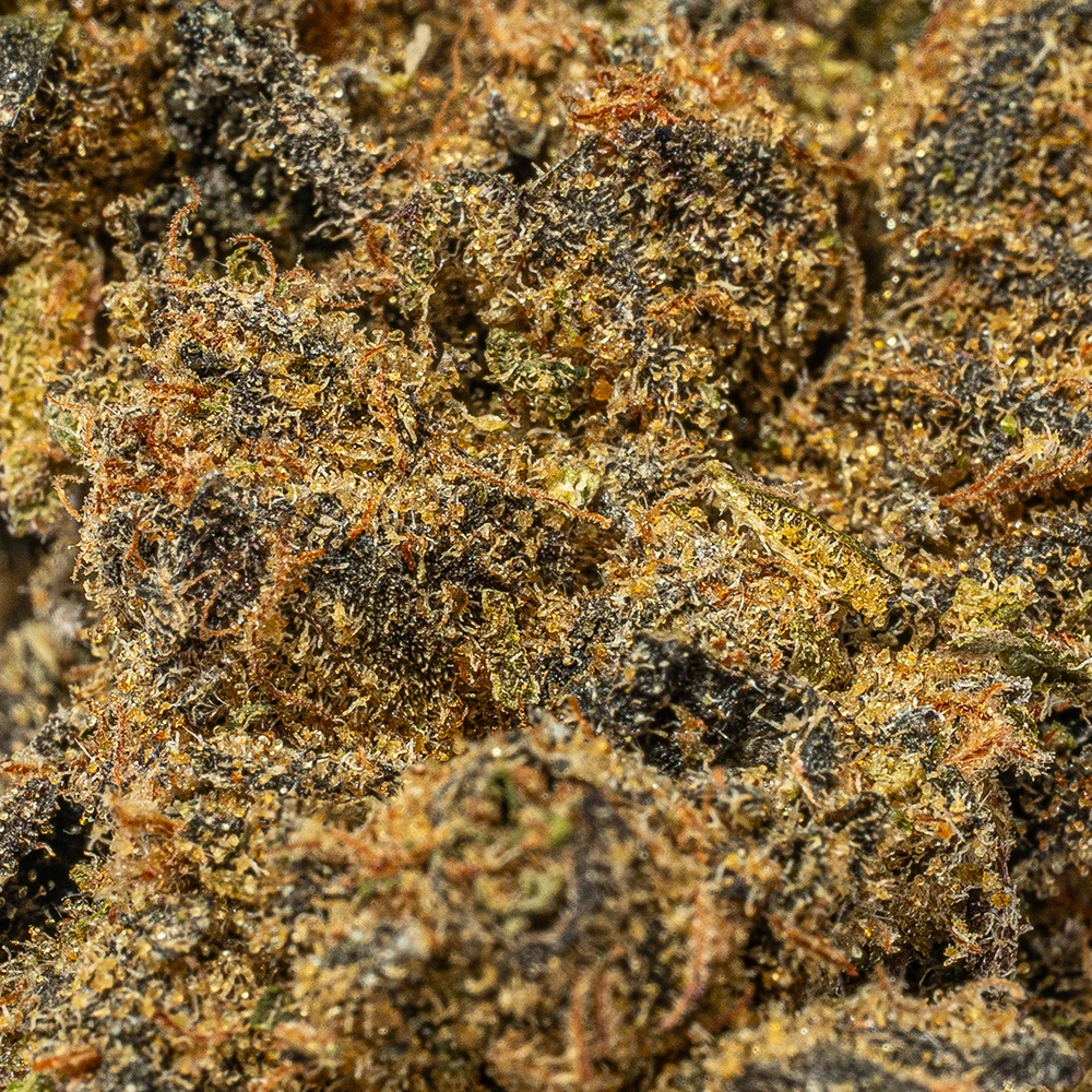 Cherry Mints (AA) - Image 5