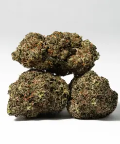 Alternative view of Citrus Skunk (AAA)