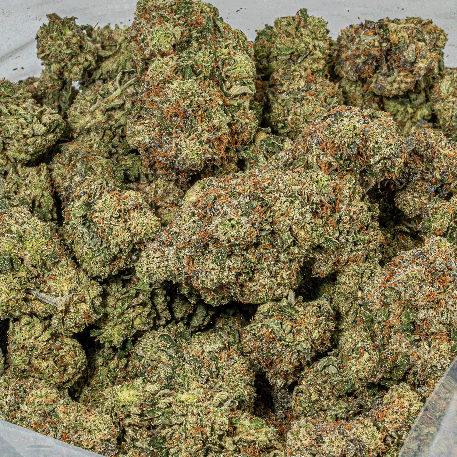 Chemical Weapon (AAA+) - Image 5