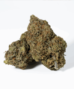 Platinum Glue (AAA+)