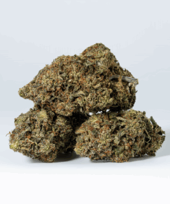 Alternative view of Platinum Glue (AAA+)