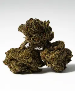 Alternative view of (Smalls) El Chapo (AAAA)