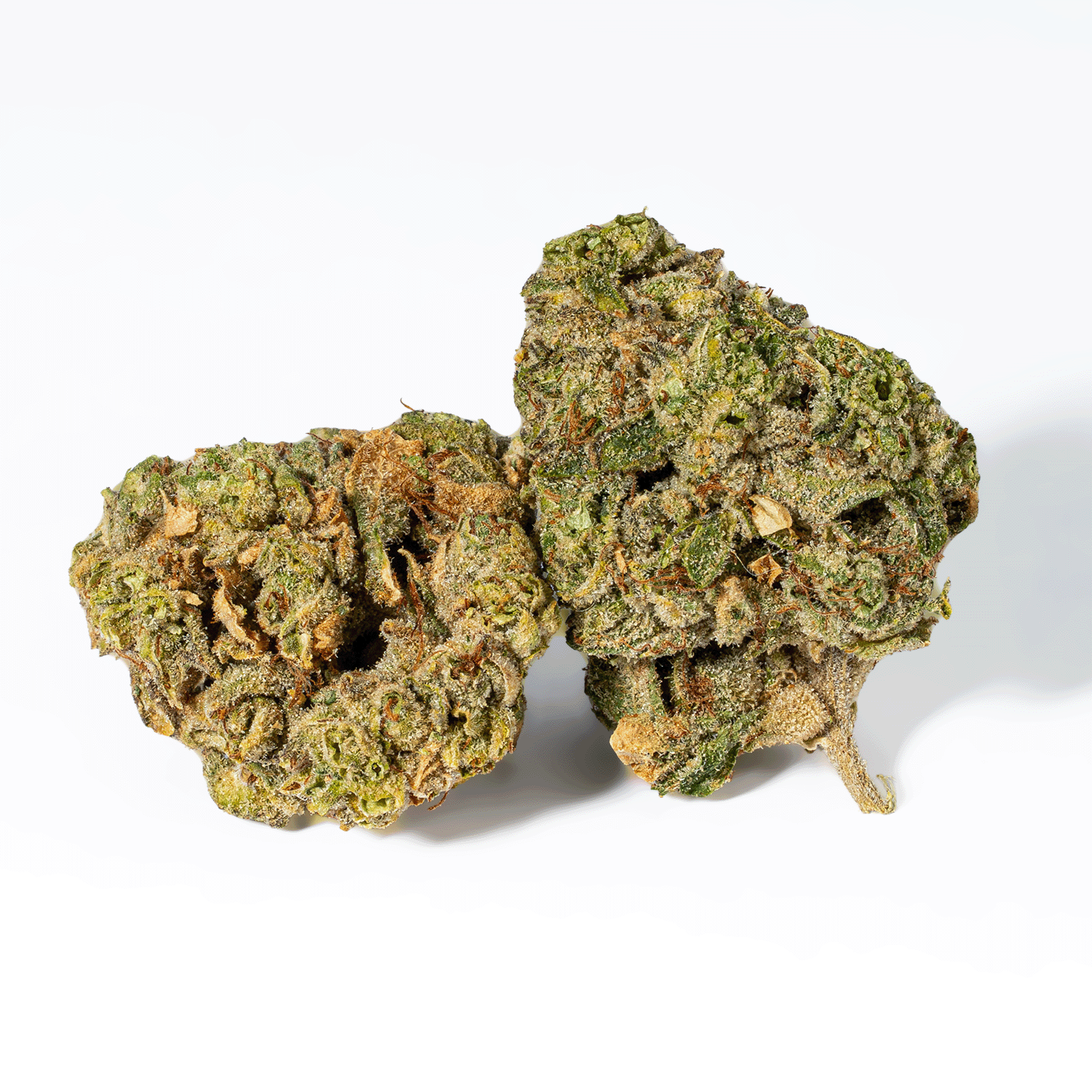 98 Lemon Haze (AA) - Image 2