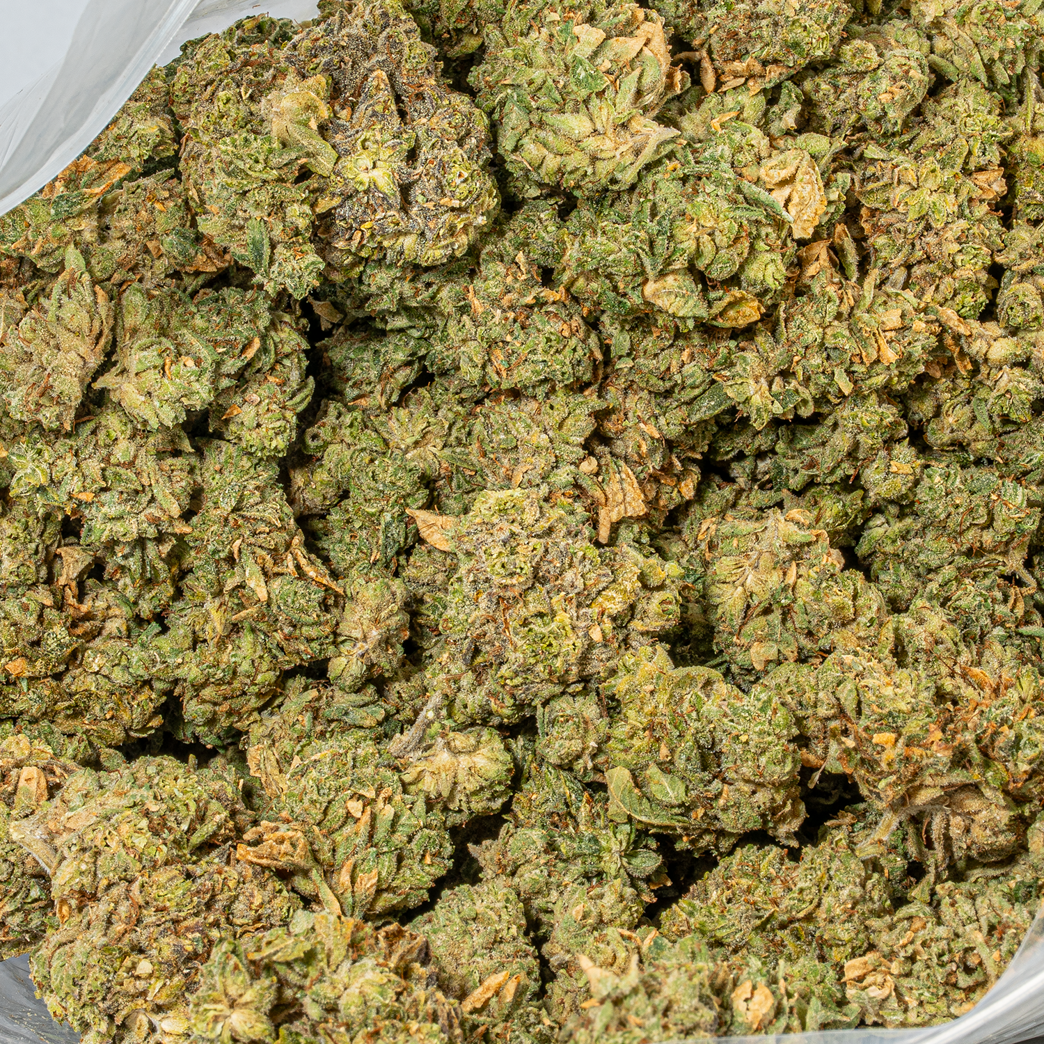 98 Lemon Haze (AA) - Image 4