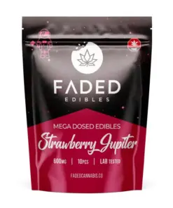 Faded Mega Dosed Astros - Strawberry Jupiter (600mg)