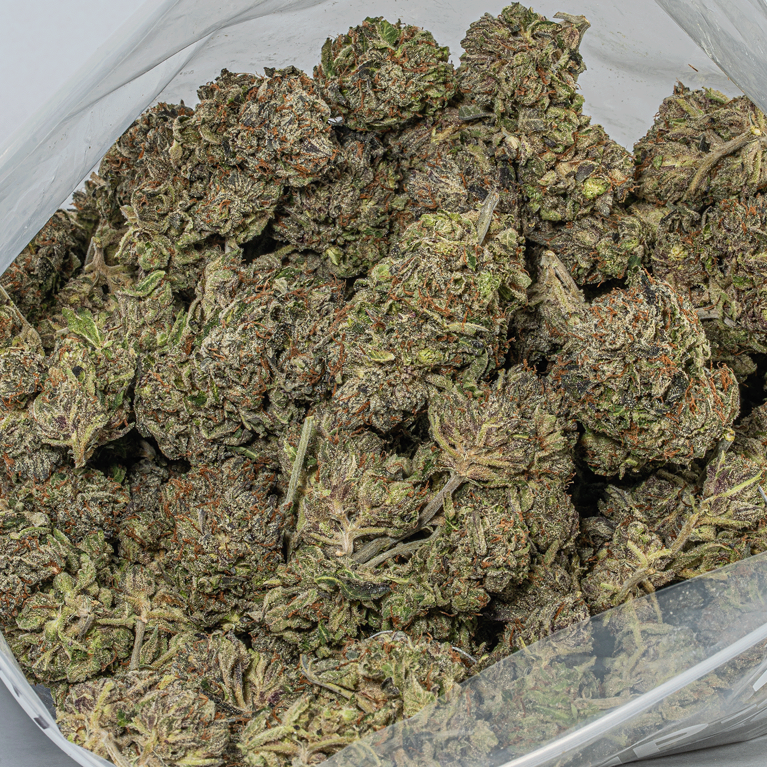 Gas Daddy (AAAA) - Image 4