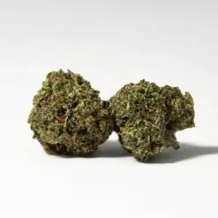 (Smalls) Gelato (AAA+)