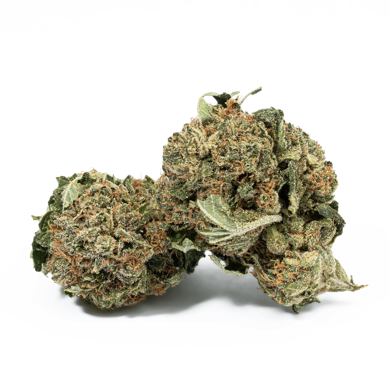 Glue Dream offers an uplifting