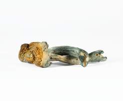 A-One Mushrooms - Golden Teacher