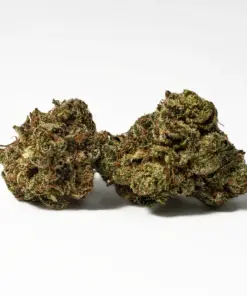 (Smalls) Galactic Gas (AAAA)