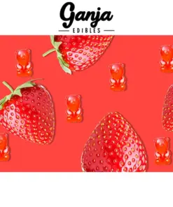 Alternative view of Ganja Bears (150mg THC) - Strawberry