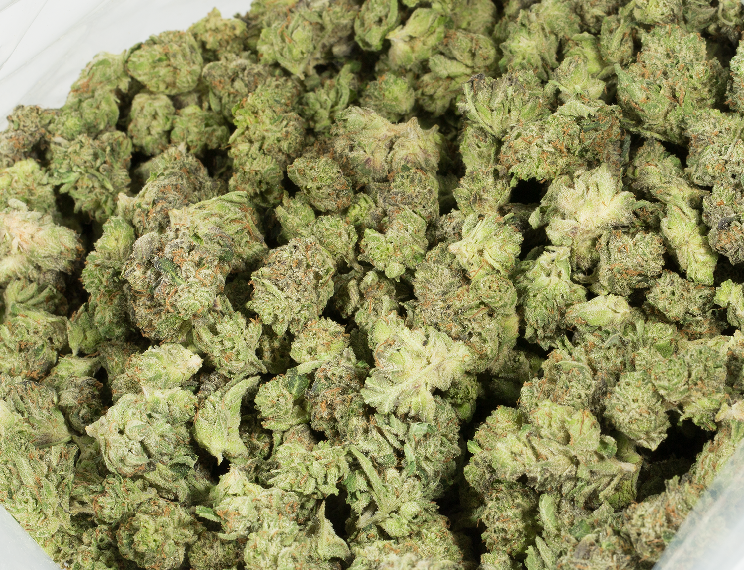 (Smalls) Godfather OG (AAAA) - Image 4