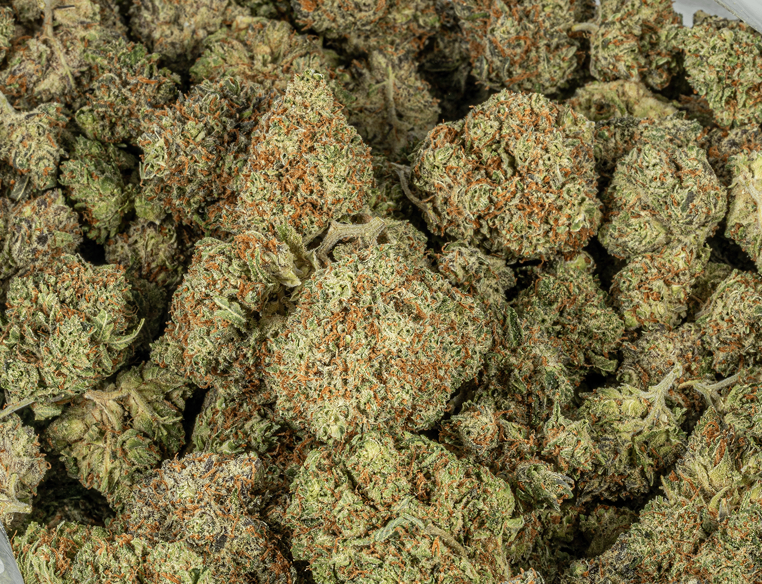 Happy Hour (AA+) - Image 4