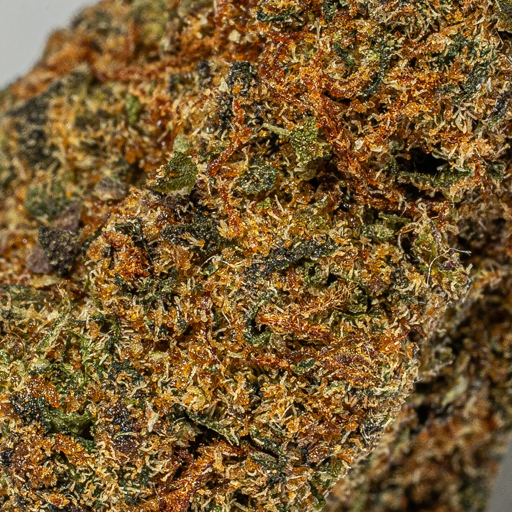 (Smalls) Jack of Spades (AA) - Image 5