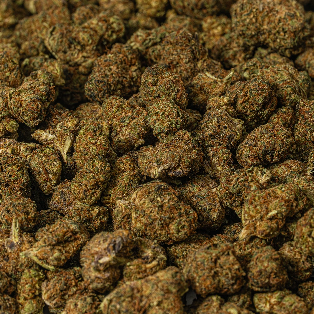 (Smalls) Jack of Spades (AA) - Image 4