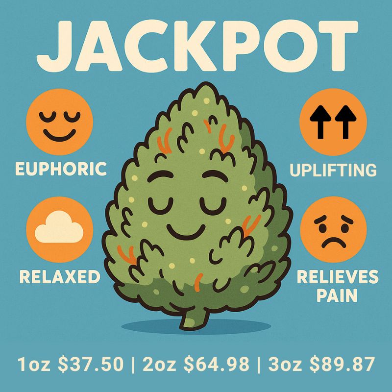 Jackpot (Promo)