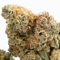 Alternative view of Jupiter (AA+)