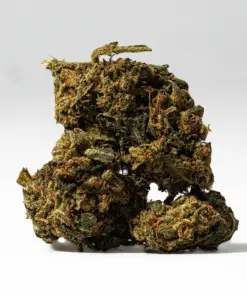 Alternative view of King Tut (AA)