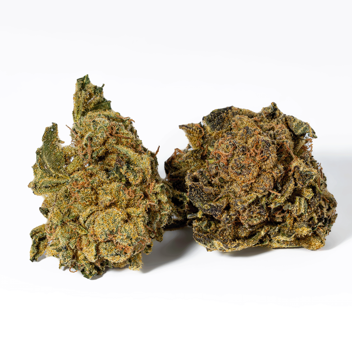 UK Cheese (AA) - Image 2