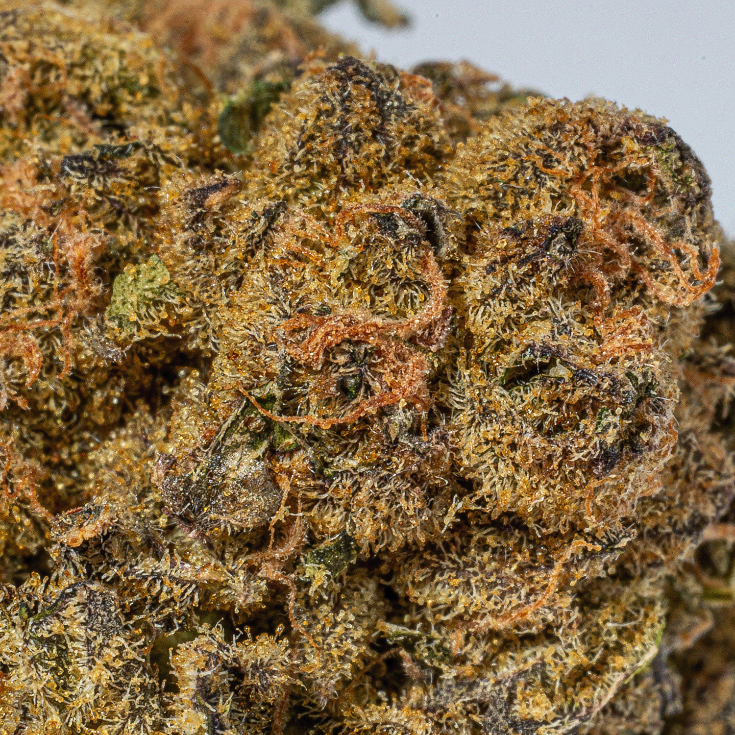 UK Cheese (AA) - Image 5