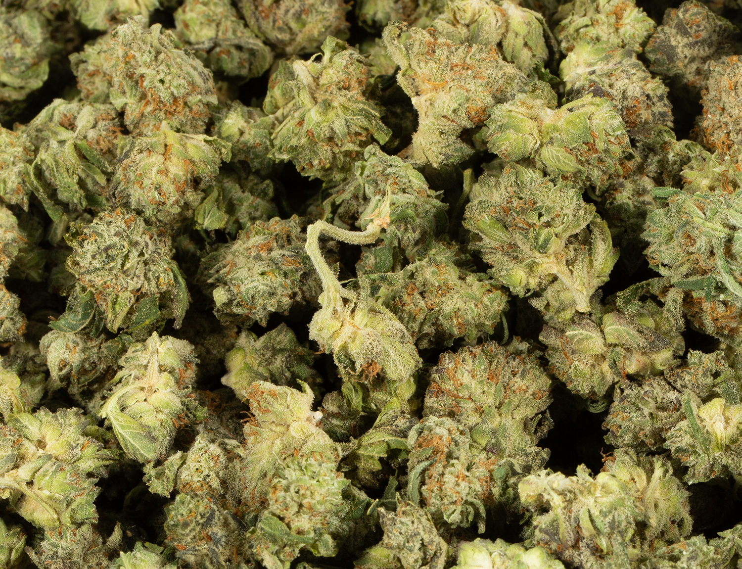 (Smalls) L.A Confidential (AAAA) - Image 4