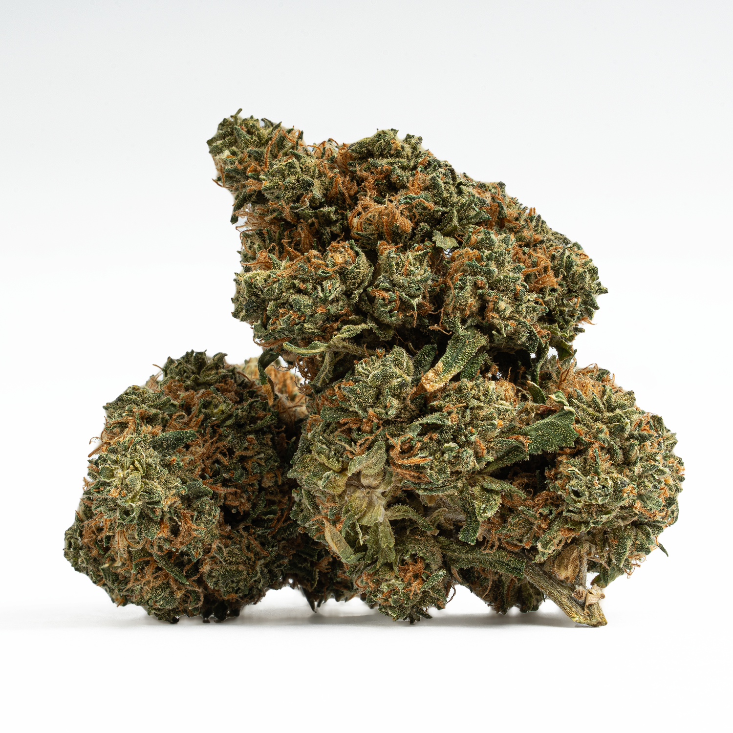 Lamb's Bread (AA+) - Image 5