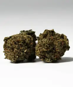 (Smalls) Lindsay OG (AAA+)