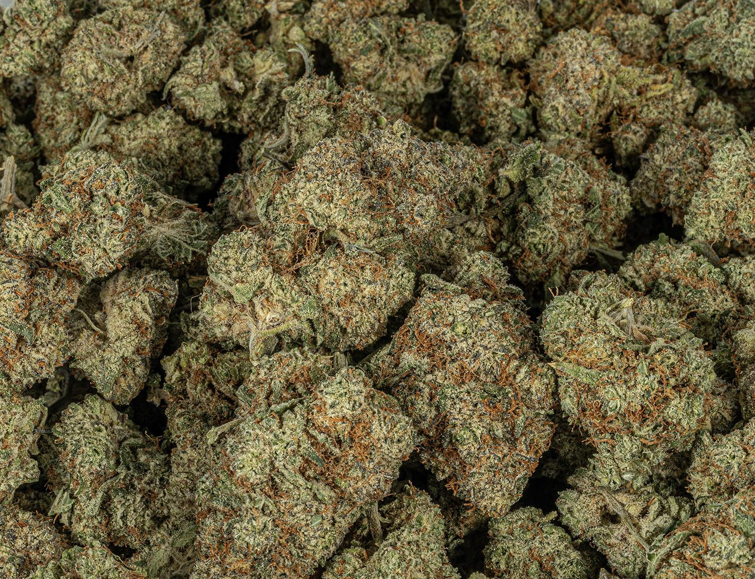 Lucky Charms (AAA) - Image 4