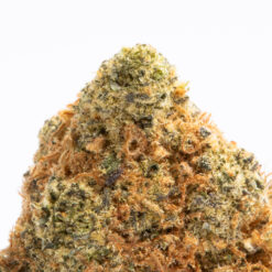 Alternative view of Loyalty (AAA)