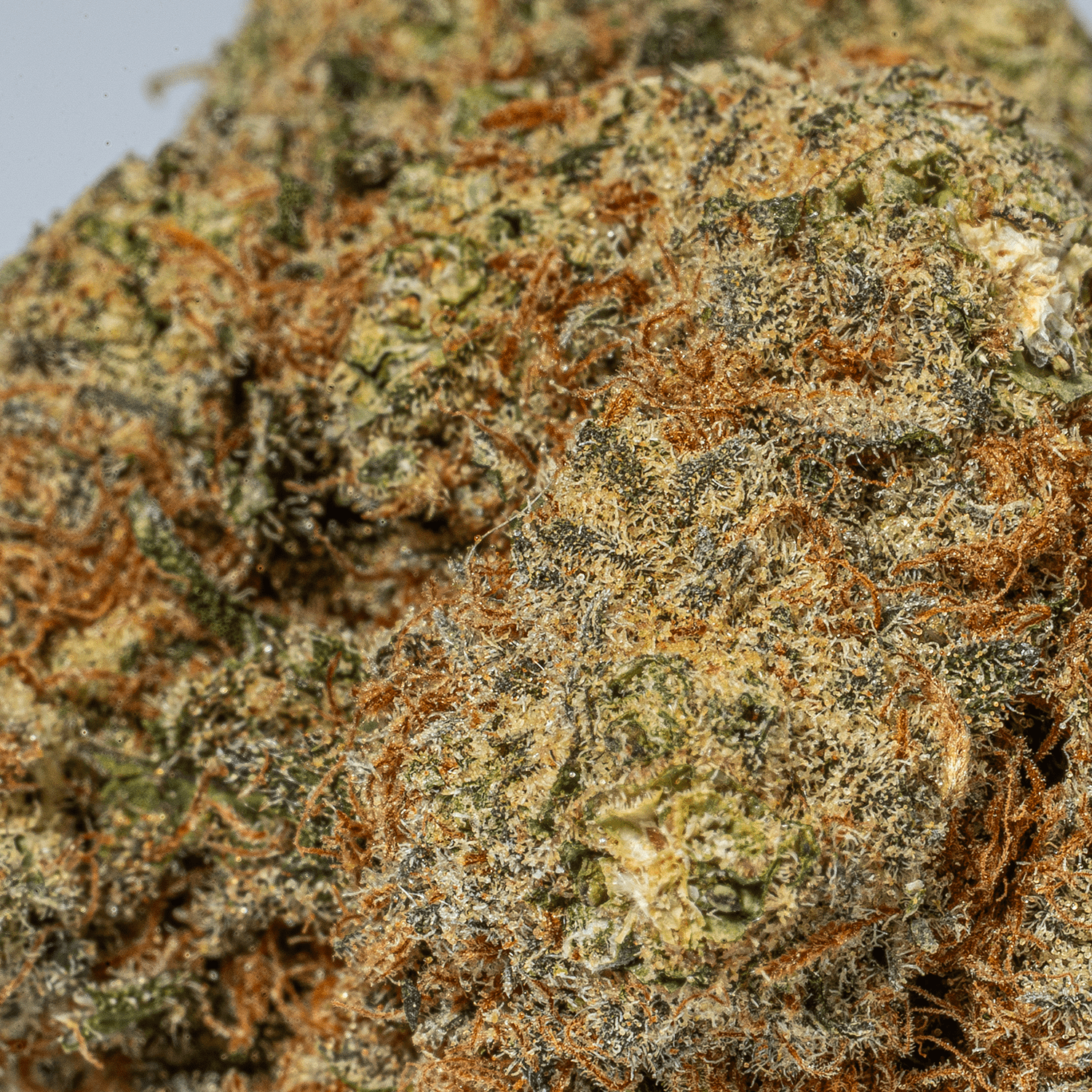 Mystery Ounce (AAA) - Image 10