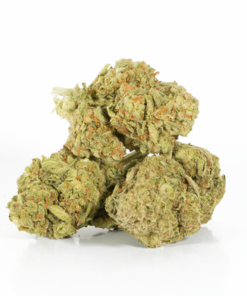 Alternative view of Bruce Banner (AA+)