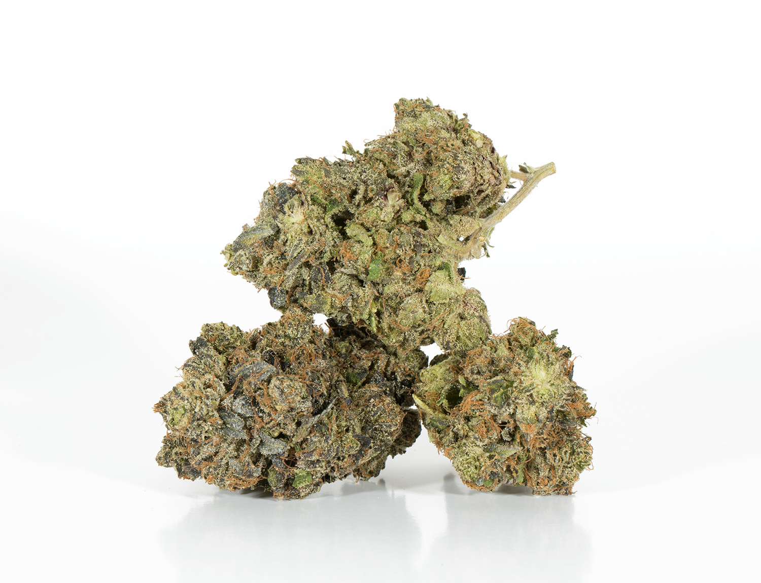 Master Bubba (AAA+) - Image 2