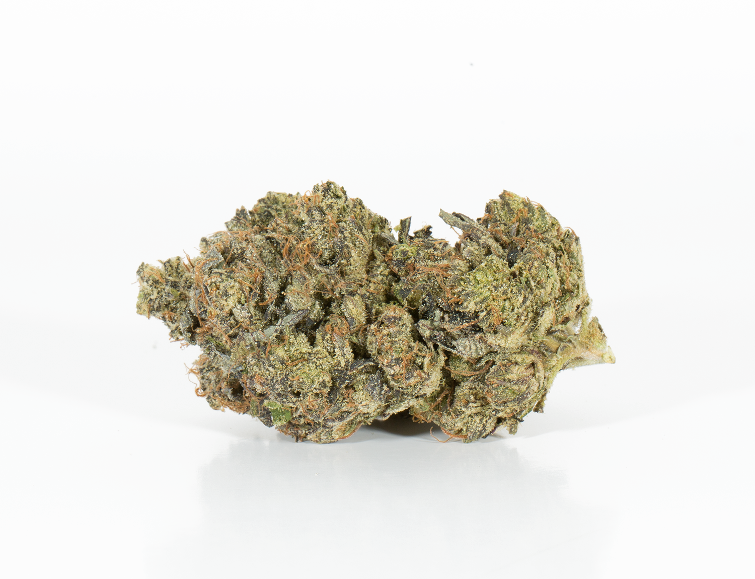 Master Bubba (AAA+) - Image 3