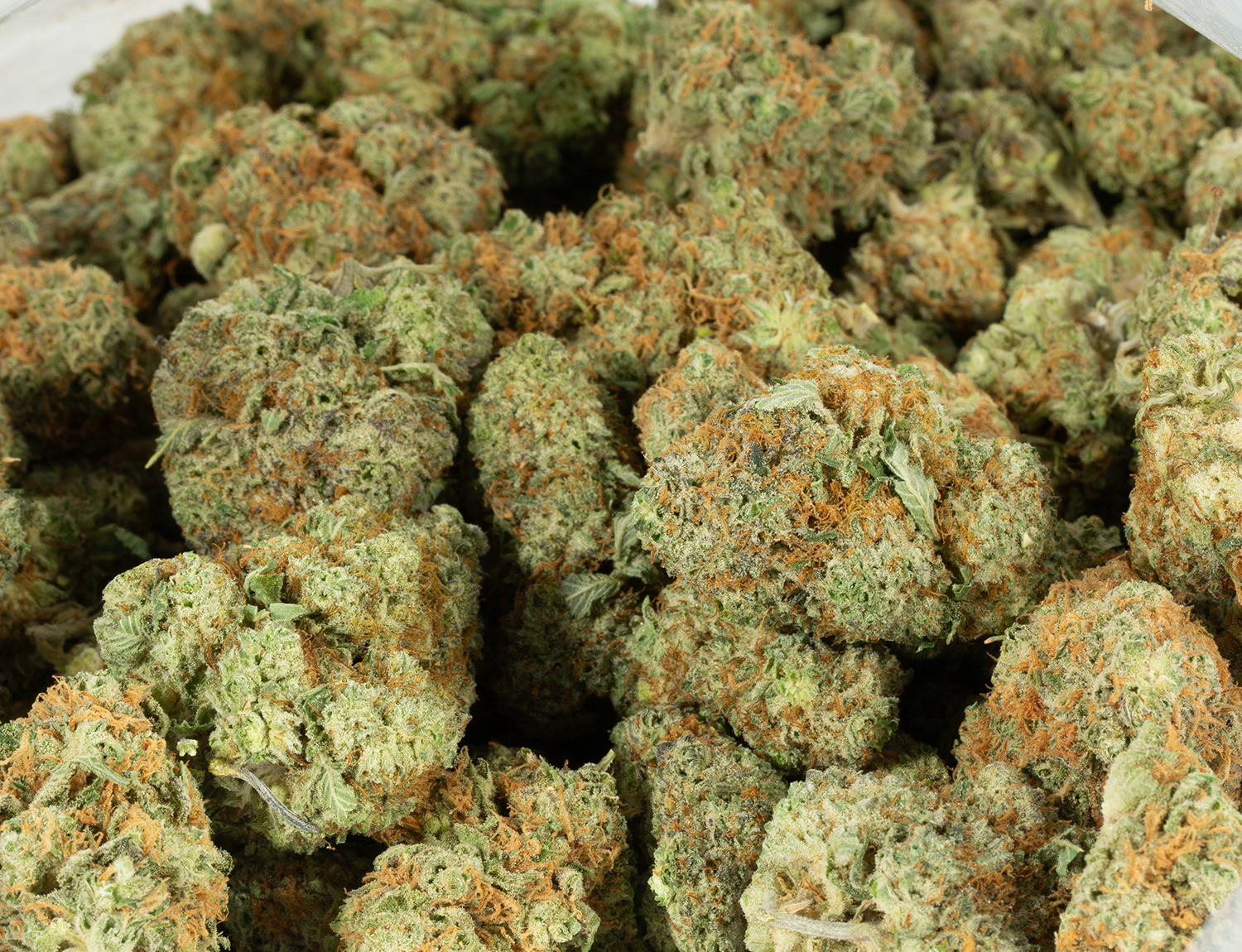 Maui Wowie (AAA) - Image 4