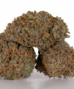 Alternative view of Mimosa (AAA)