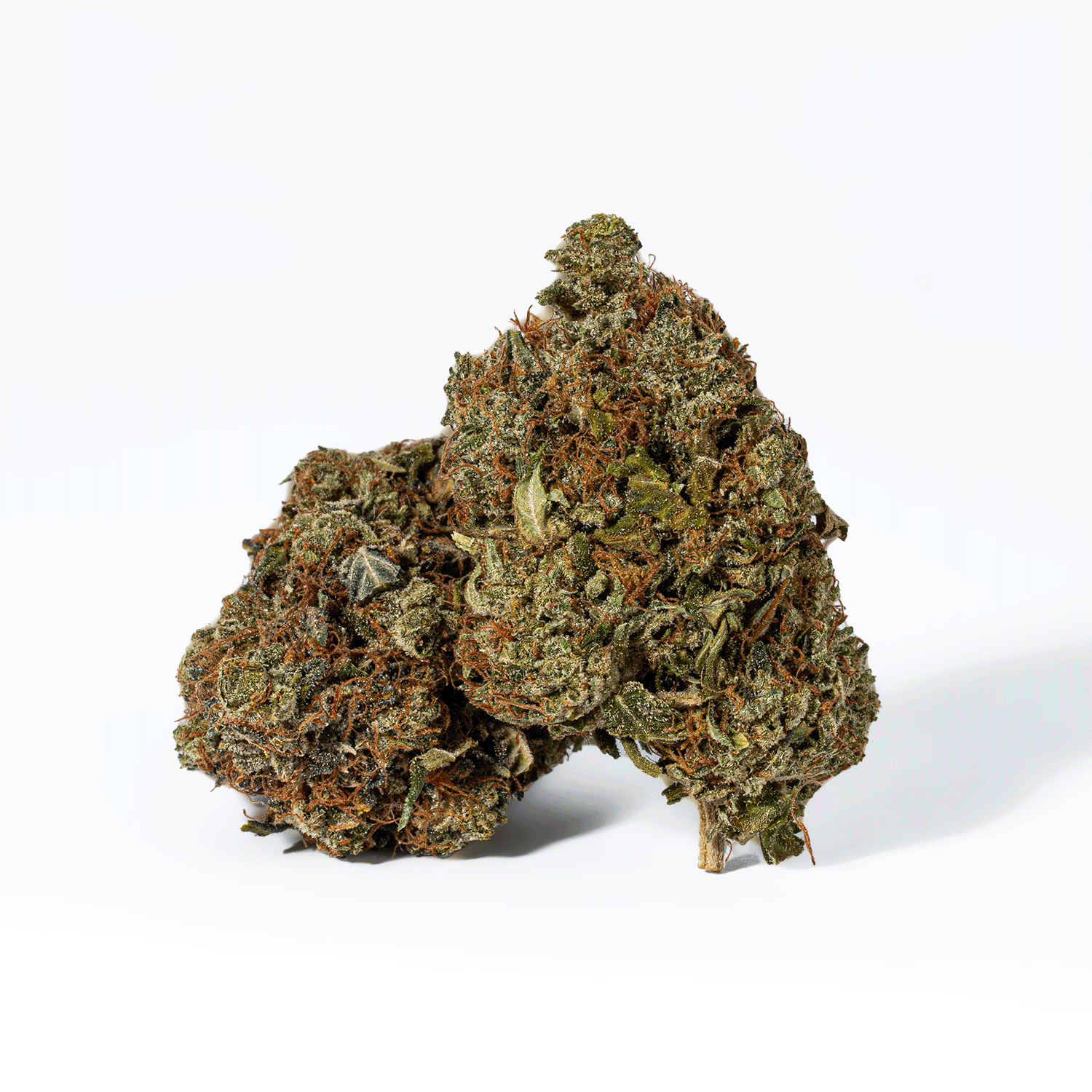 Grease Monkey (AA) - Image 2