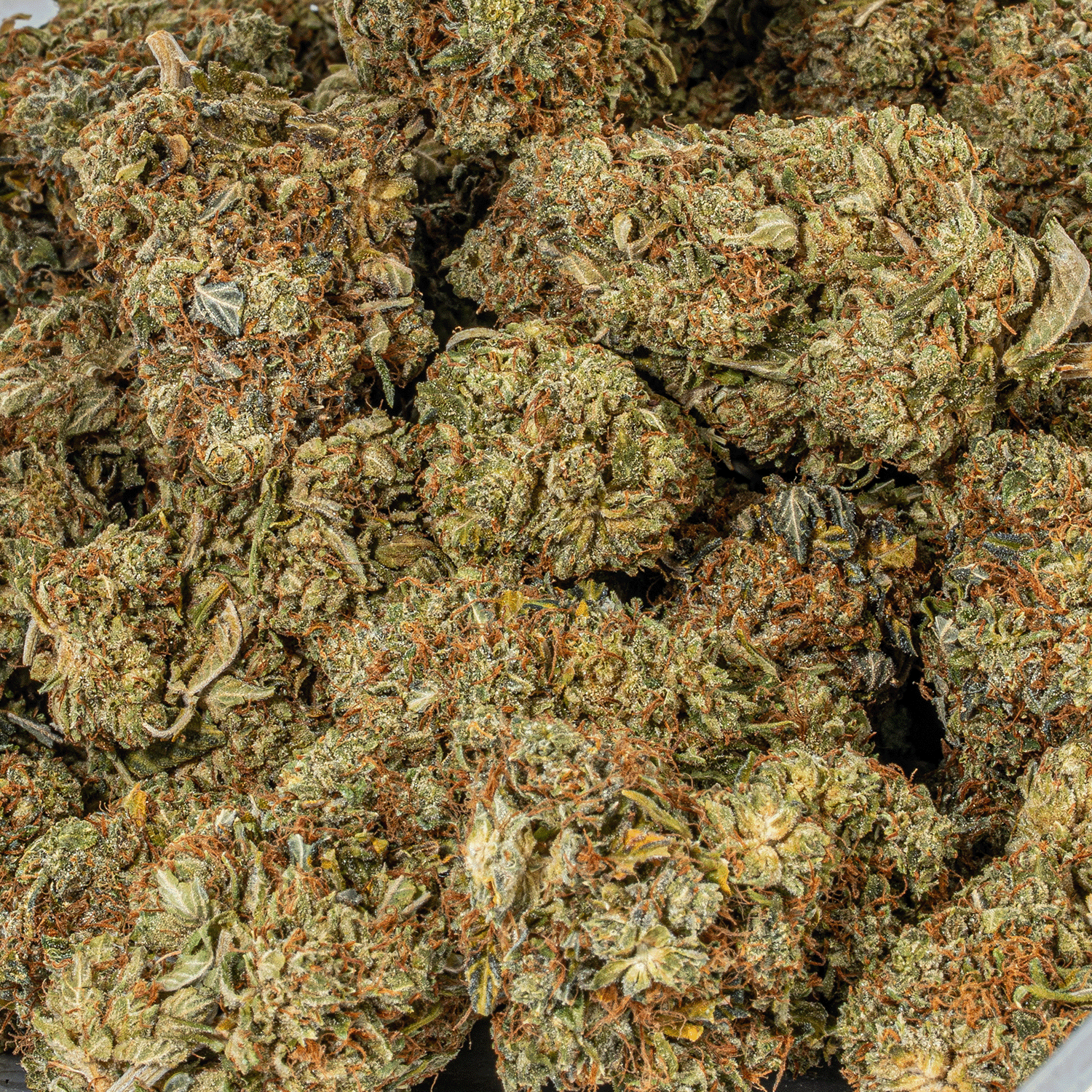 Grease Monkey (AA) - Image 4