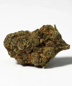 Alternative view of (Smalls) Nuken (AA)