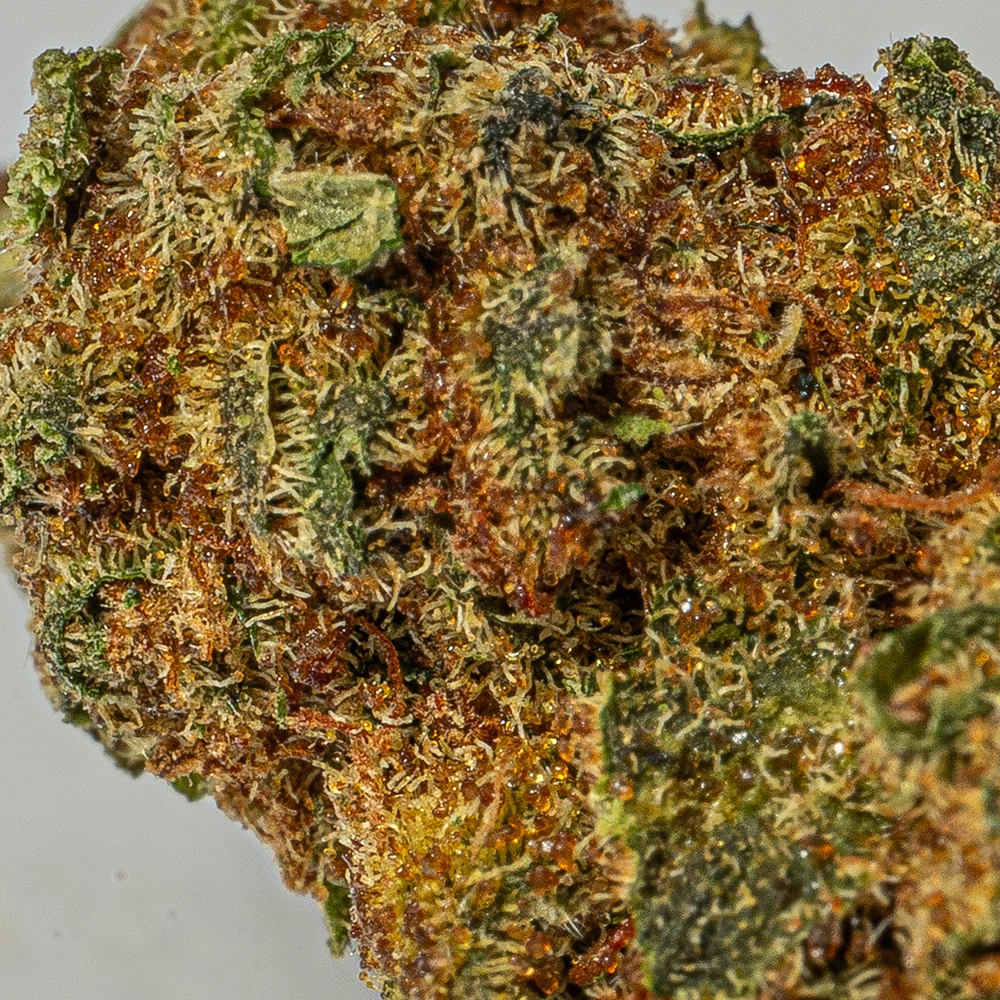 (Smalls) Nuken (AA) - Image 5