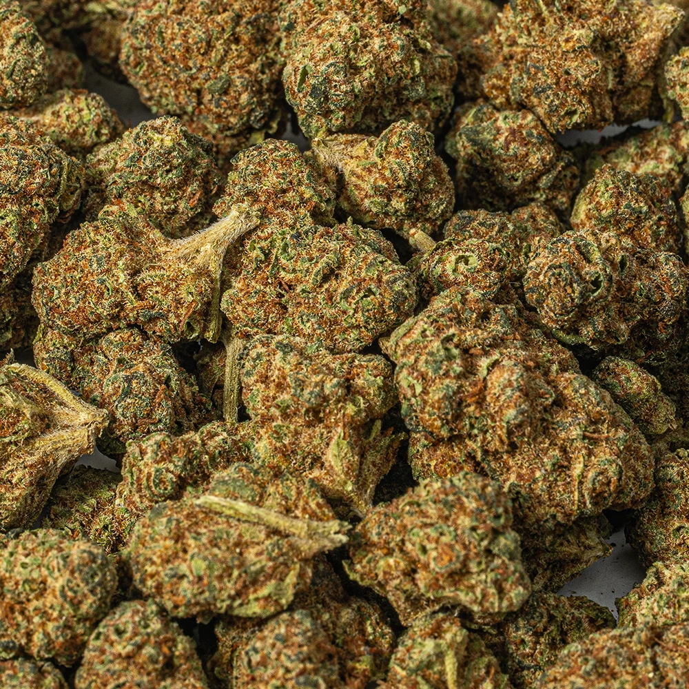 (Smalls) Nuken (AA) - Image 4